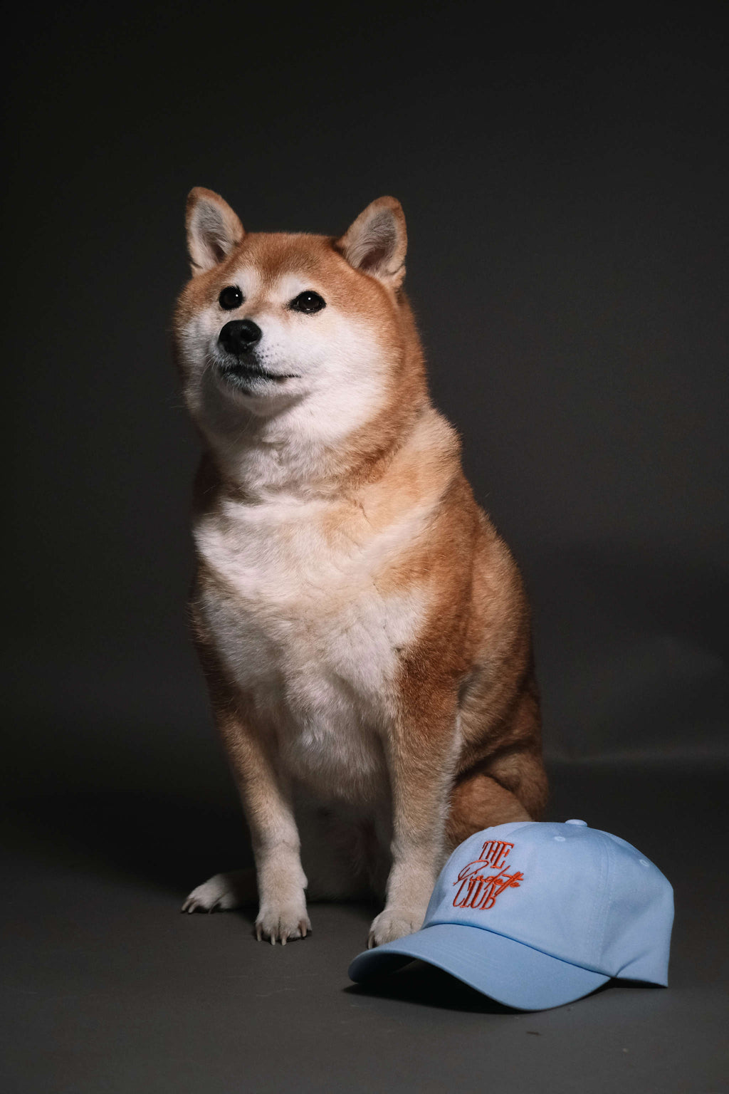 CASQUETTE NICO BLEU CIEL